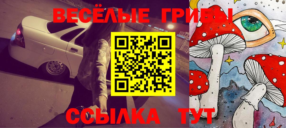 Галлюциногенные грибы MAGIC MUSHROOMS Апатиты