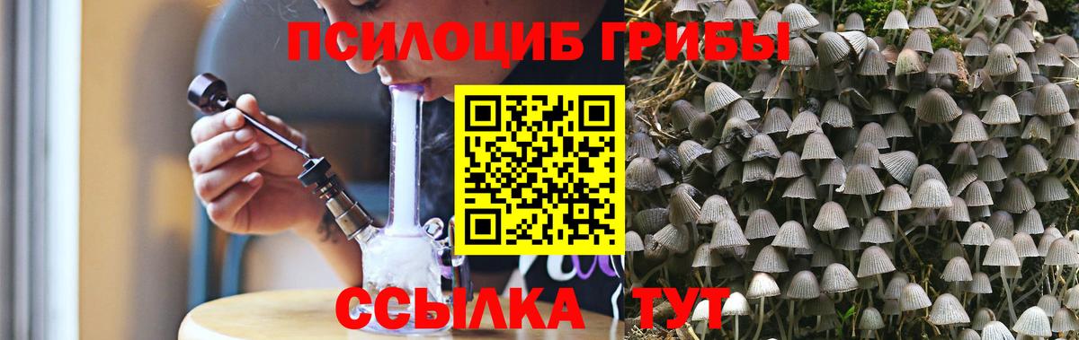Псилоцибиновые грибы мицелий Апатиты